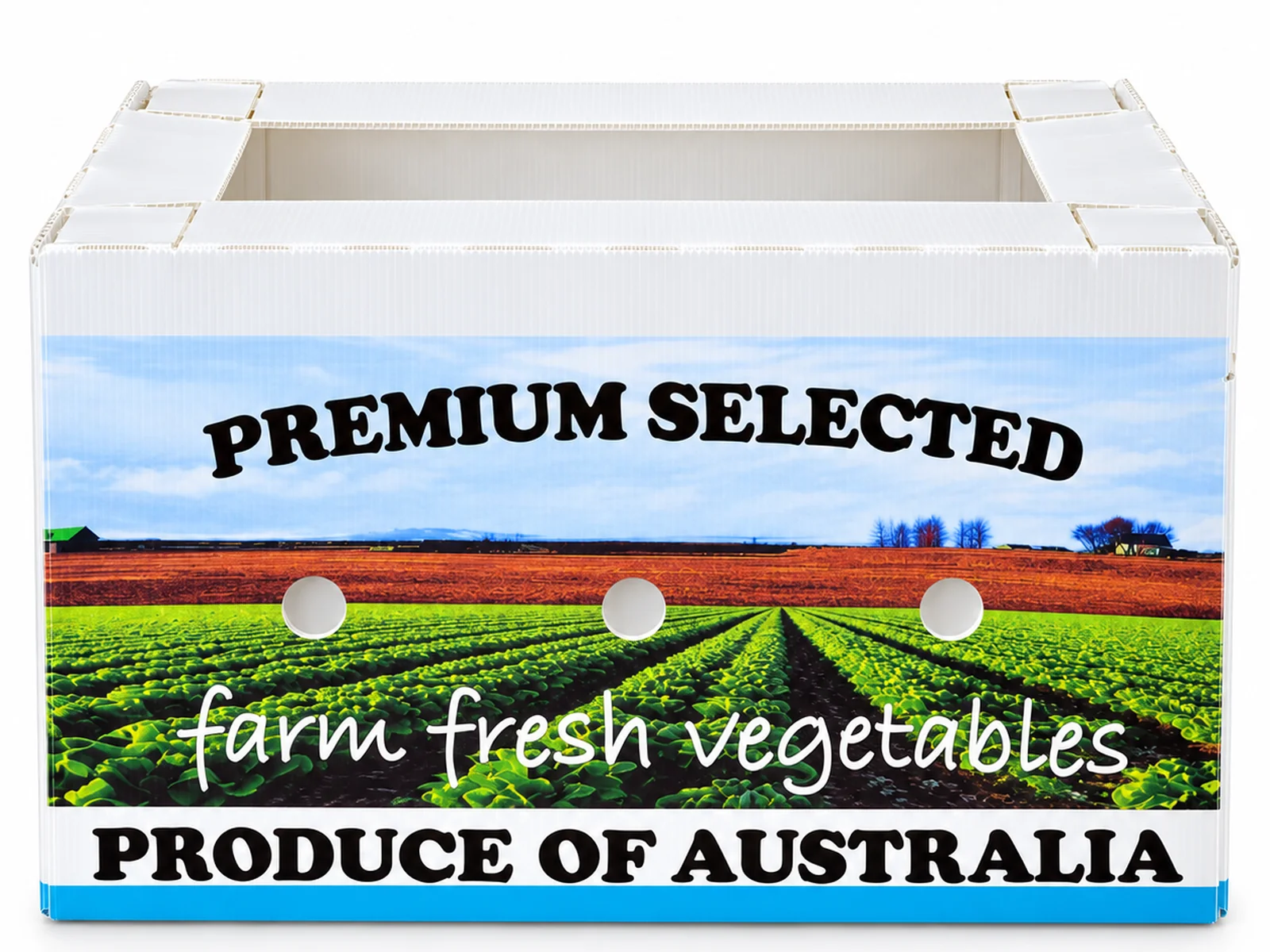 Produce Boxes